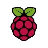 Sticker Raspberry Pi Logo